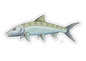 Bonefish Decal